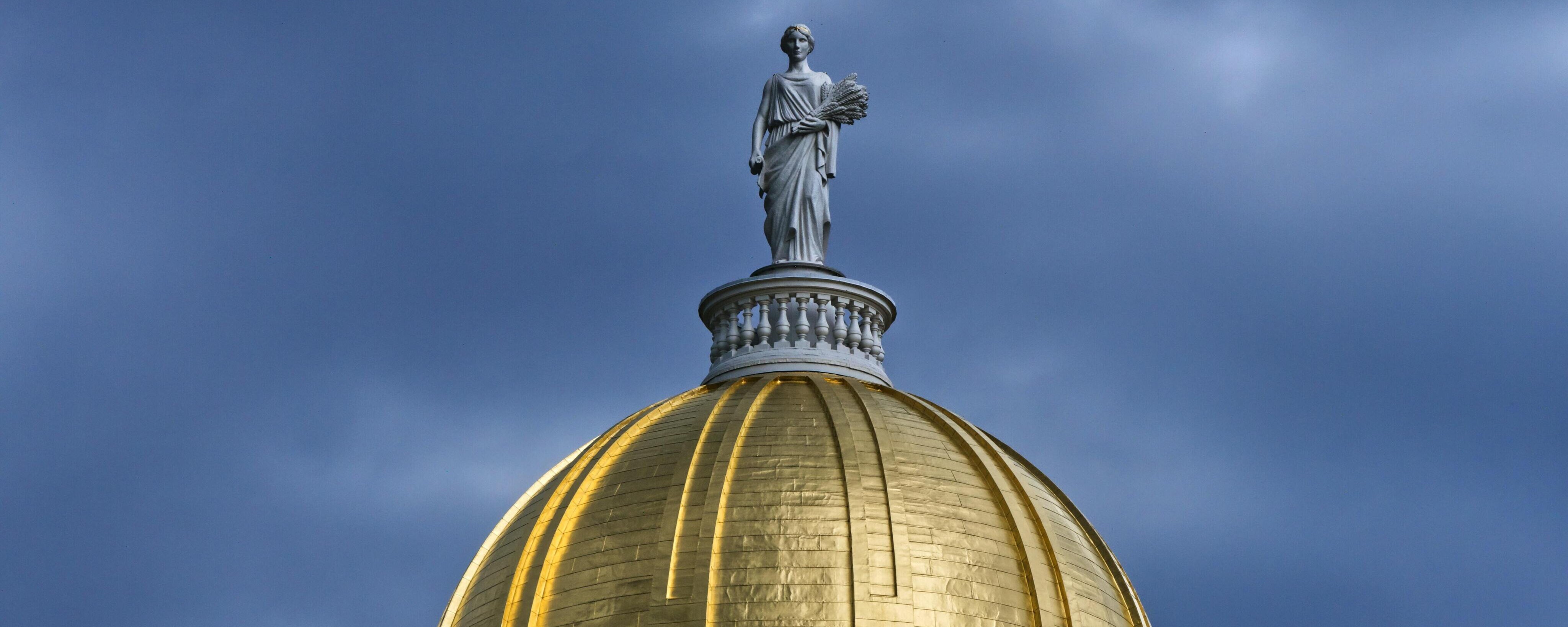 stock image of a capitol building