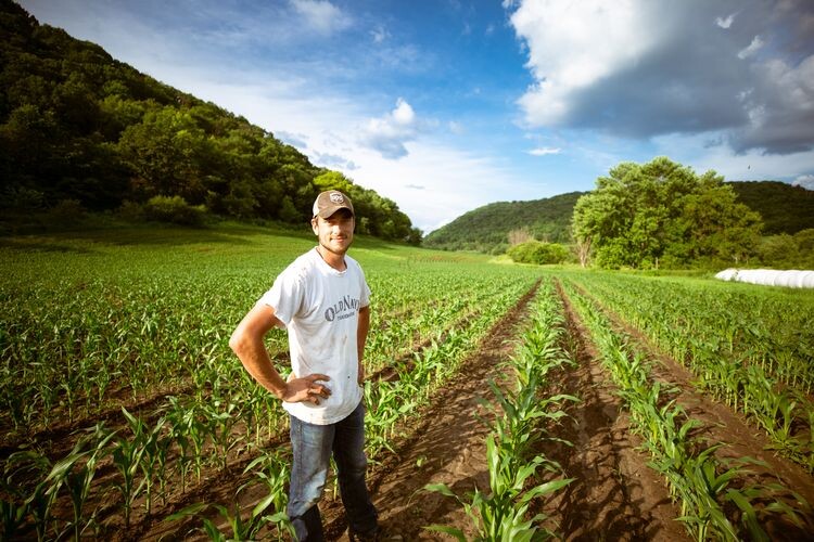 stock image of farmer