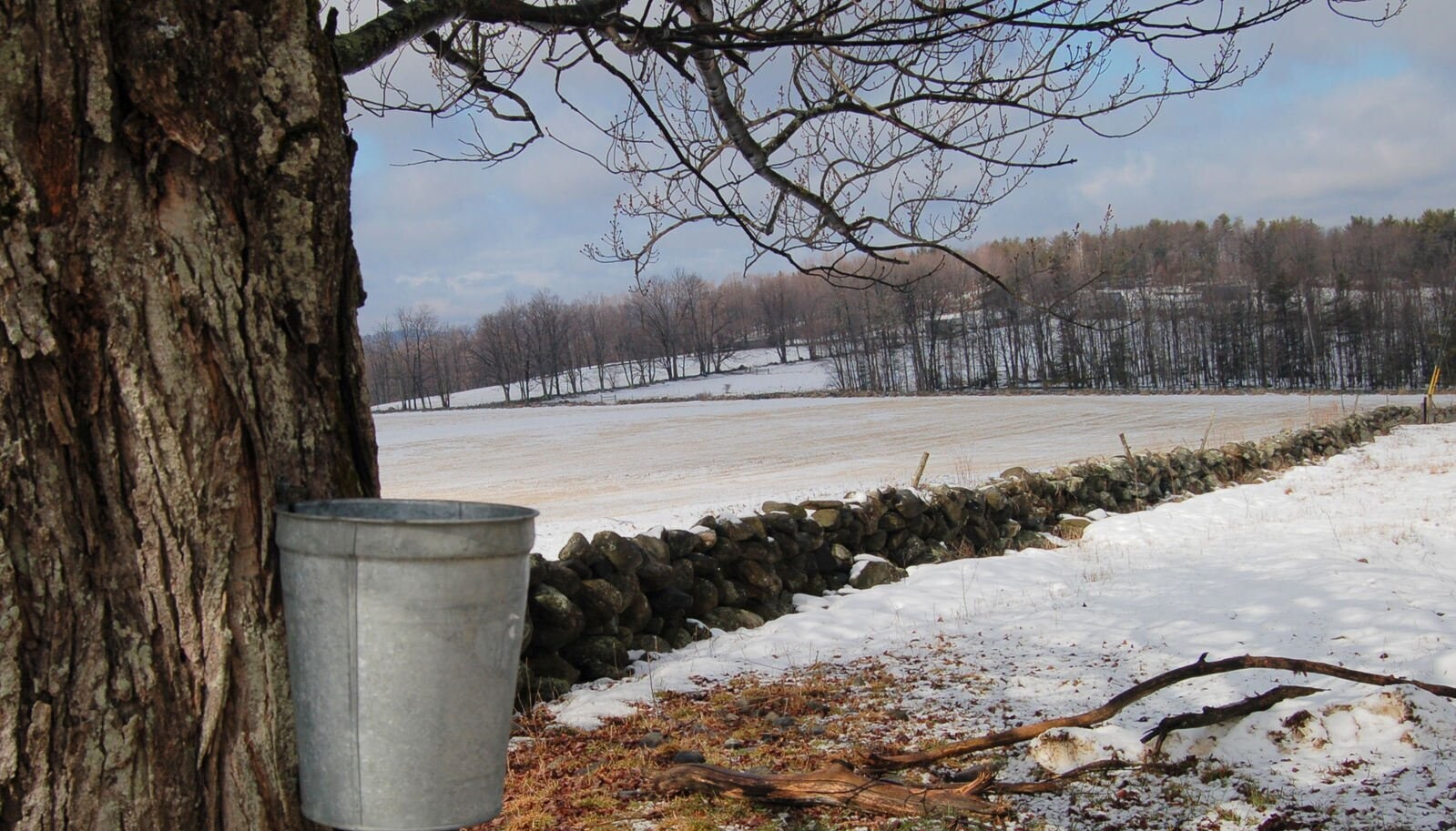 vt maple syrup set up